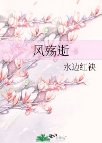 《风殇逝》