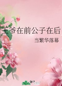 《王爷在前公子在后》
