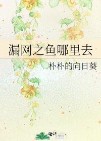 《漏网之鱼哪里去》
