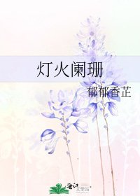 《灯火阑珊》