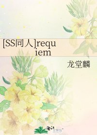 [SS同人]requiem