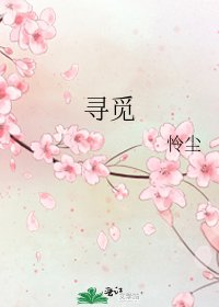《寻觅》