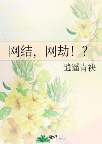 《网结,网劫!?》