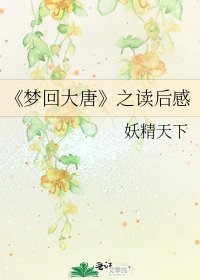 《梦回大唐》