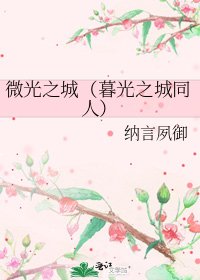 《微光之城(暮光之城同人)》