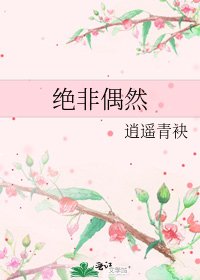 《绝非偶然》