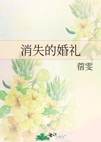 《消失的婚礼》