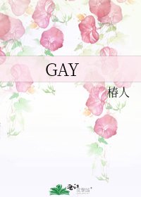 《GAY》