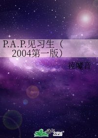 《P.A.P.见习生(2004第一版)》