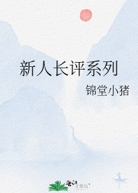 《新人长评系列》