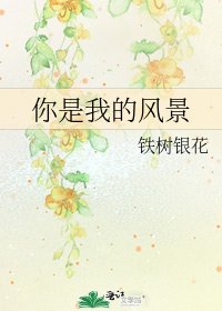 《你是我的风景》