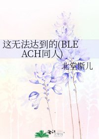 《这无法达到的(BLEACH同人)》