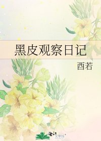 《黑皮观察日记》