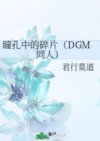 《瞳孔中的碎片(DGM同人)》