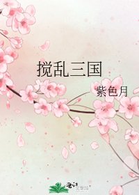 《搅乱三国》