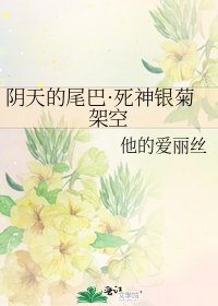 《阴天的尾巴·死神银菊架空》