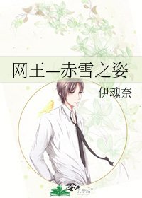 《网王—赤雪之姿》