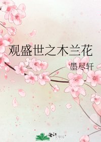 《观盛世之木兰花》