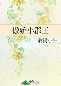 傲娇小郡王