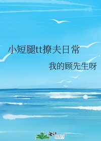 小短腿tt撩夫日常