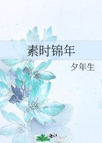 《素时锦年》