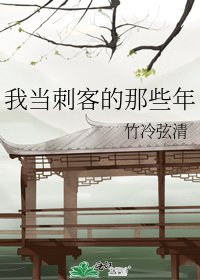 《我当刺客的那些年》