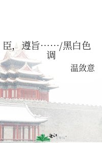 臣,遵旨……/黑白色调