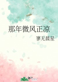 那年微风正凉
