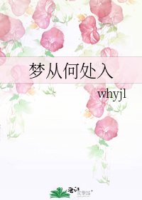 梦从何处入