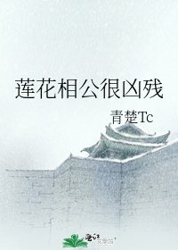 《莲花相公很凶残》