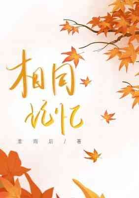相同记忆