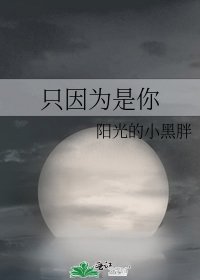 只因为是你