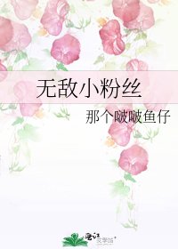 《无敌小粉丝》