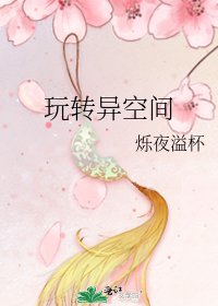 《玩转异空间》