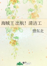 《海贼王 出航!清洁工》