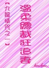 温柔总裁狂追妻