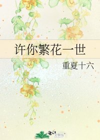 《许你繁花一世》