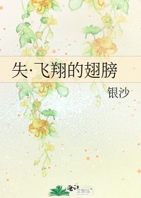 《失·飞翔的翅膀》