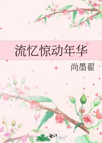 《流忆惊动年华》