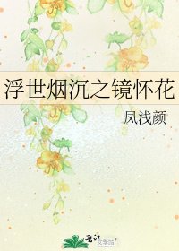 《浮世烟沉之镜怀花》