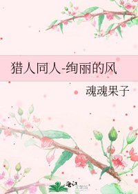 《猎人同人-绚丽的风》