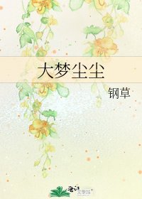 《大梦尘尘》