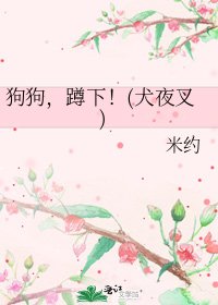 《狗狗,蹲下!(犬夜叉)》