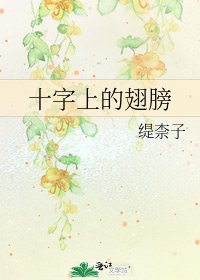 十字上的翅膀