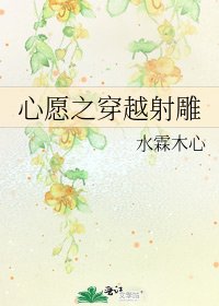 《心愿之穿越射雕》