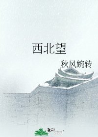 《西北望》