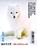 白狐日记