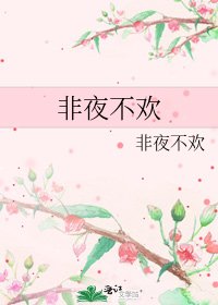 非夜不欢