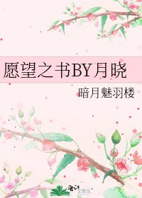《愿望之书BY月晓》
