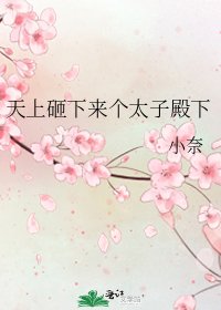《天上砸下来个太子殿下》